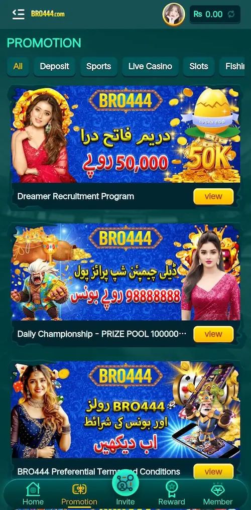 bro444 game
